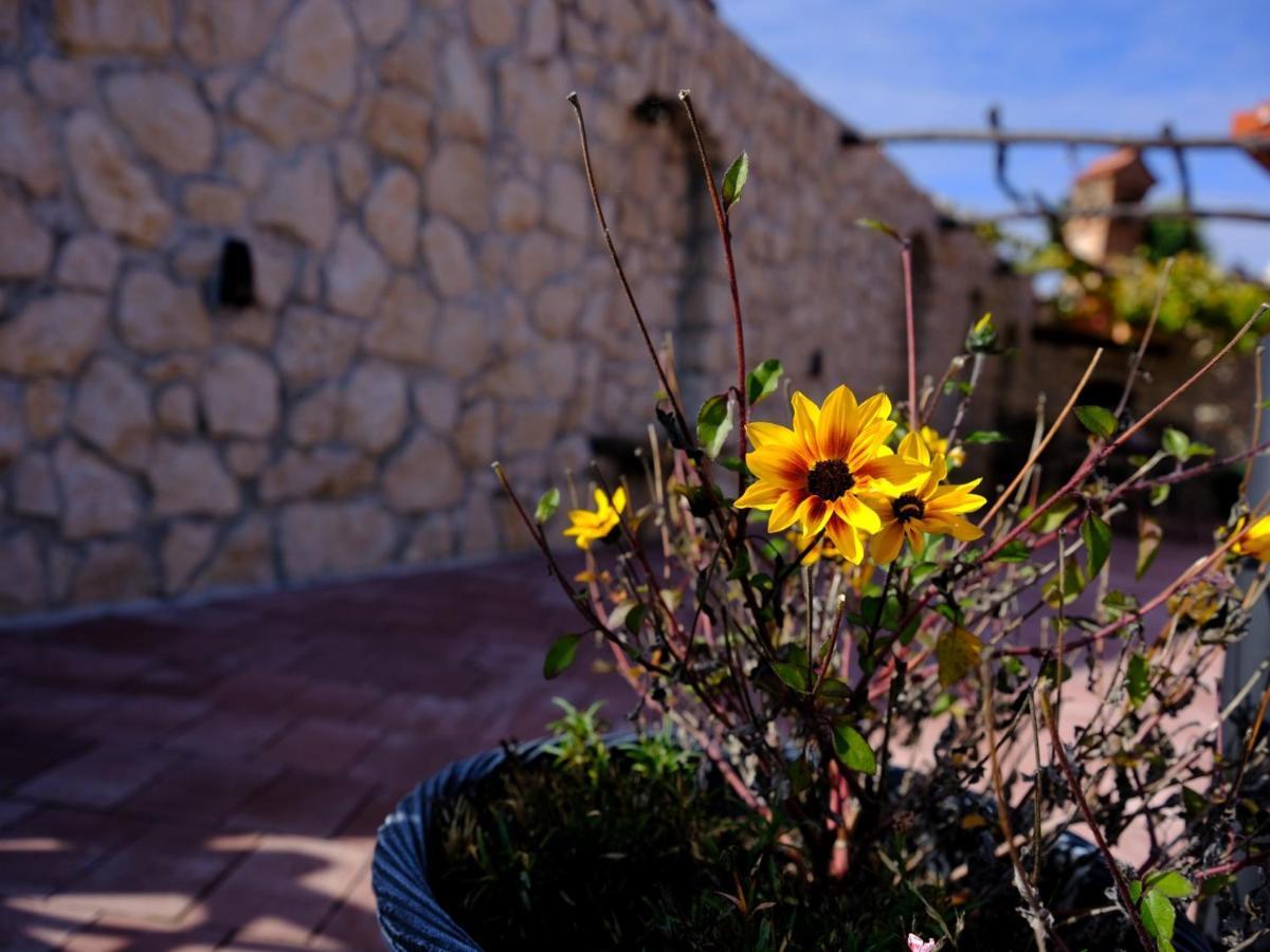 Secret Wellness Apartamento Bodonci Exterior foto